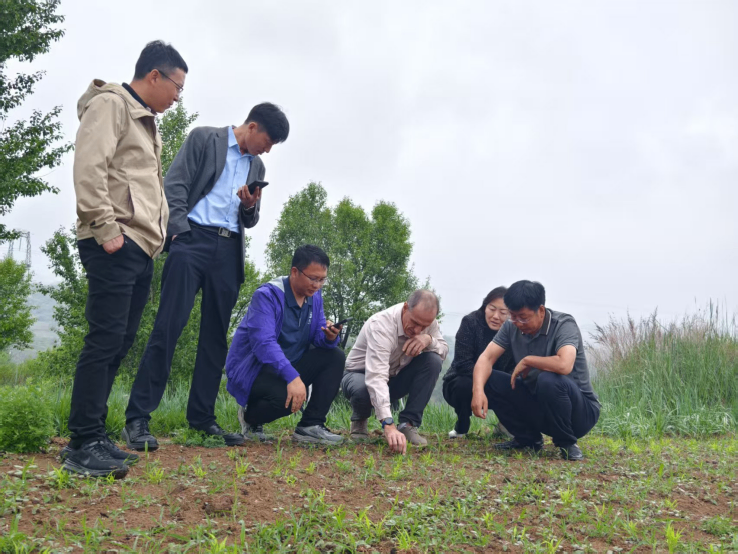 山西灵丘有机农业智力平台再拓展