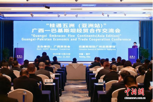 广西与巴基斯坦企业开展经贸合作交流